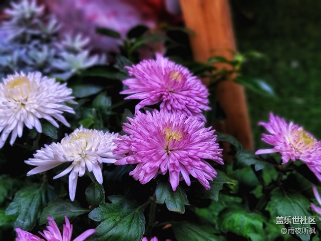 #假日隨拍——商場隨拍