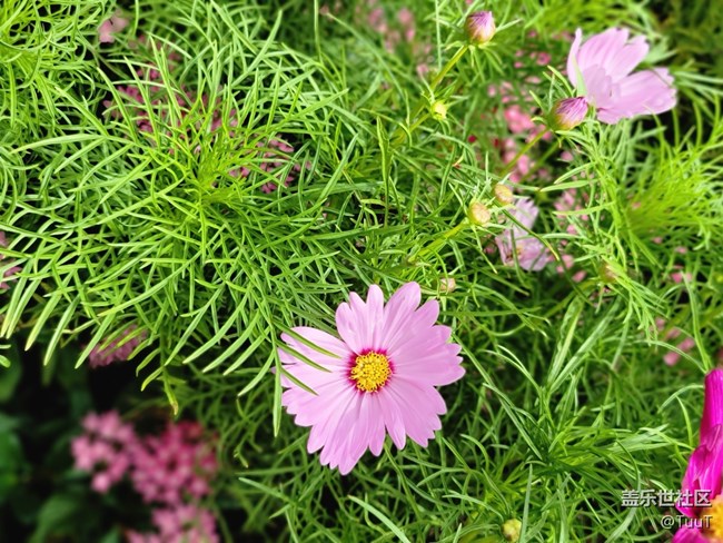 #假日隨拍——假日好心情