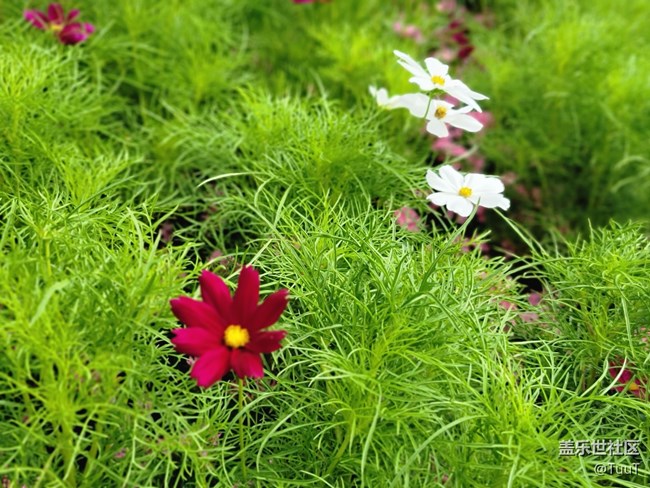 #假日隨拍——假日好心情