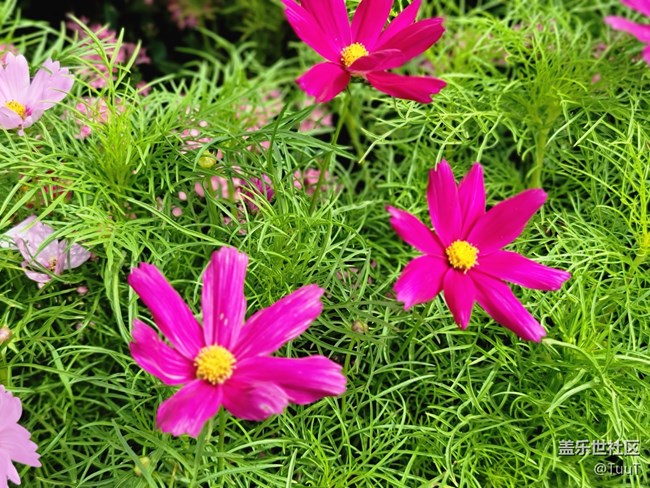 #假日隨拍——假日好心情