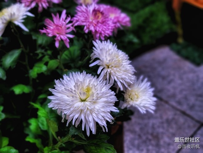 #假日隨拍——商場隨拍