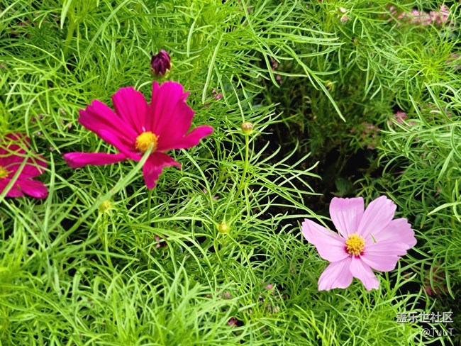 #假日隨拍——假日好心情