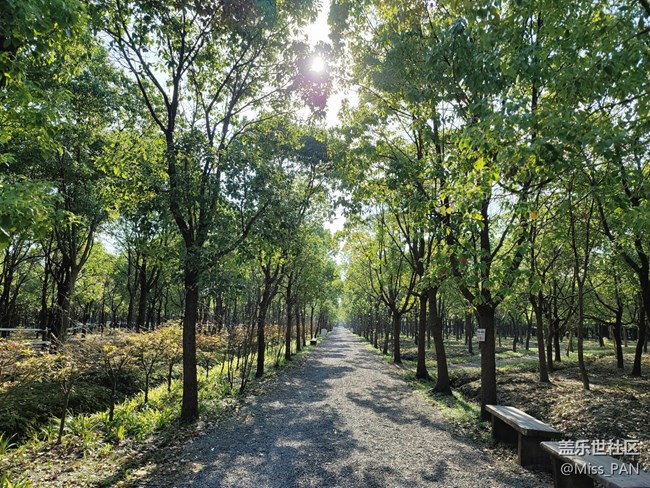 #假日隨拍——樹林