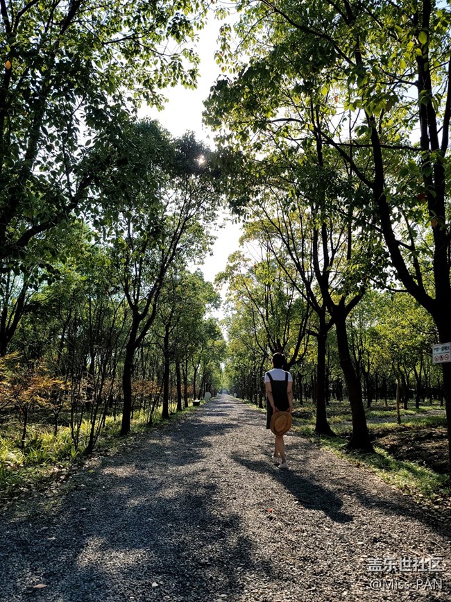 #假日隨拍——樹林