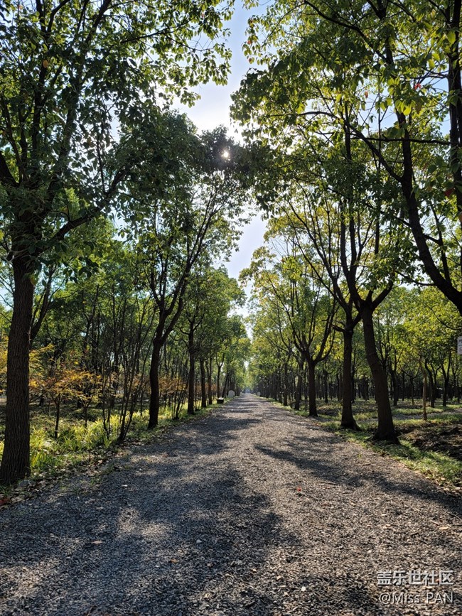 #假日隨拍——樹林