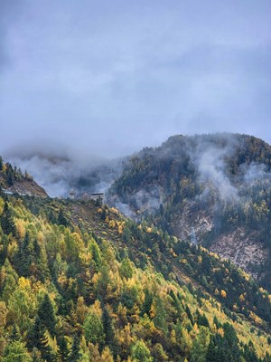 【形影不離】+一路風(fēng)景