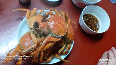 今天吃什么