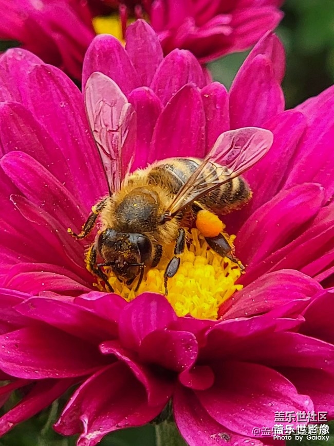 《每周星鮮事》 第84期:星鮮創(chuàng)造營(yíng)第十二期 絢麗開(kāi)營(yíng) 《每周星鮮事》 第84期:星鮮創(chuàng)造營(yíng)第十二期 絢麗開(kāi)營(yíng)