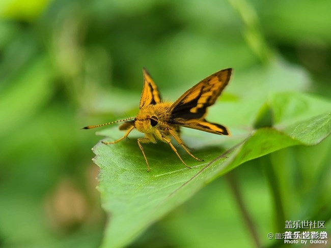 《每周星鮮事》 第84期:星鮮創(chuàng)造營(yíng)第十二期 絢麗開(kāi)營(yíng) 《每周星鮮事》 第84期:星鮮創(chuàng)造營(yíng)第十二期 絢麗開(kāi)營(yíng)
