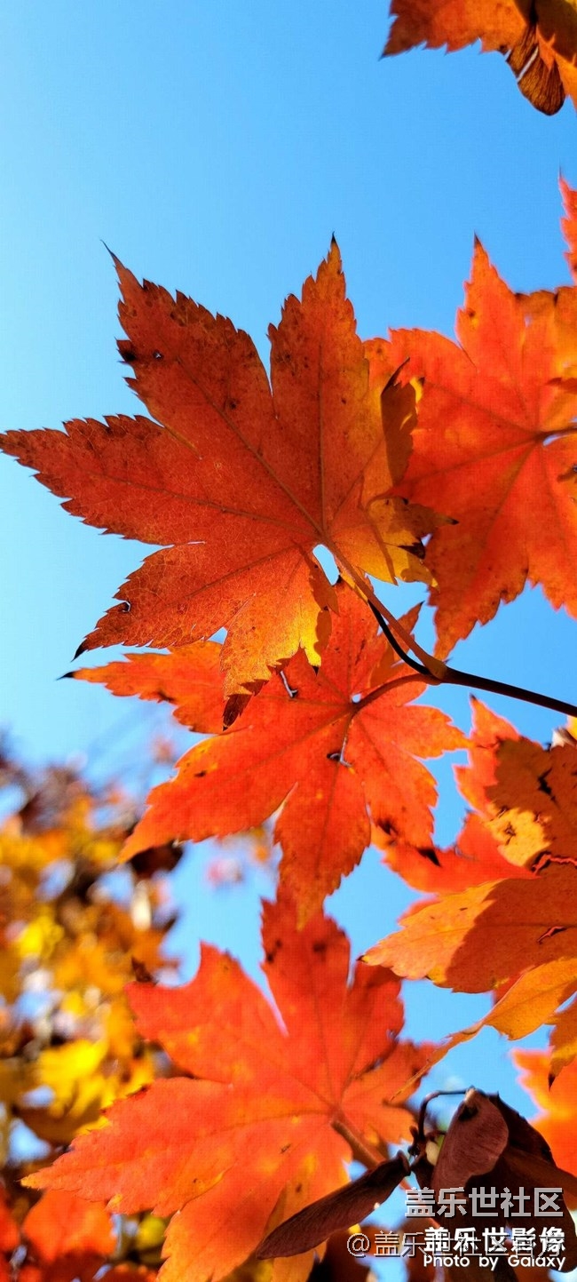 《每周星鮮事》 第84期:星鮮創(chuàng)造營(yíng)第十二期 絢麗開(kāi)營(yíng) 《每周星鮮事》 第84期:星鮮創(chuàng)造營(yíng)第十二期 絢麗開(kāi)營(yíng)