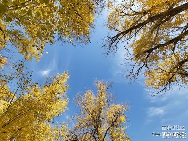 《每周星鮮事》 第84期:星鮮創(chuàng)造營(yíng)第十二期 絢麗開(kāi)營(yíng) 《每周星鮮事》 第84期:星鮮創(chuàng)造營(yíng)第十二期 絢麗開(kāi)營(yíng)