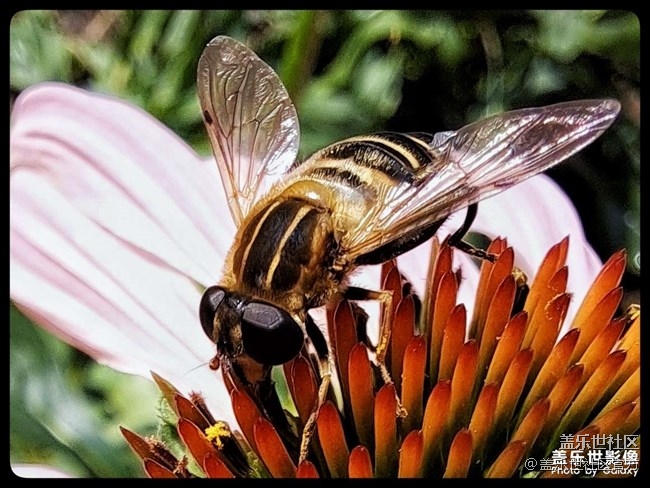 《每周星鮮事》 第84期:星鮮創(chuàng)造營(yíng)第十二期 絢麗開(kāi)營(yíng) 《每周星鮮事》 第84期:星鮮創(chuàng)造營(yíng)第十二期 絢麗開(kāi)營(yíng)
