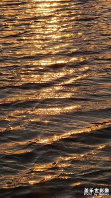 渤海灣