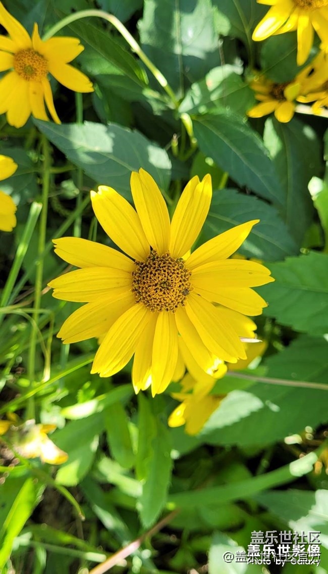 《每周星鮮事》 第84期:星鮮創(chuàng)造營(yíng)第十二期 絢麗開(kāi)營(yíng) 《每周星鮮事》 第84期:星鮮創(chuàng)造營(yíng)第十二期 絢麗開(kāi)營(yíng)