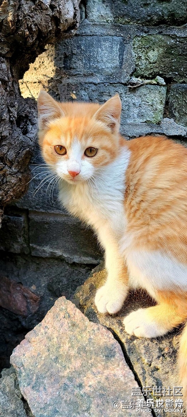 《每周星鮮事》 第84期:星鮮創(chuàng)造營(yíng)第十二期 絢麗開(kāi)營(yíng) 《每周星鮮事》 第84期:星鮮創(chuàng)造營(yíng)第十二期 絢麗開(kāi)營(yíng)