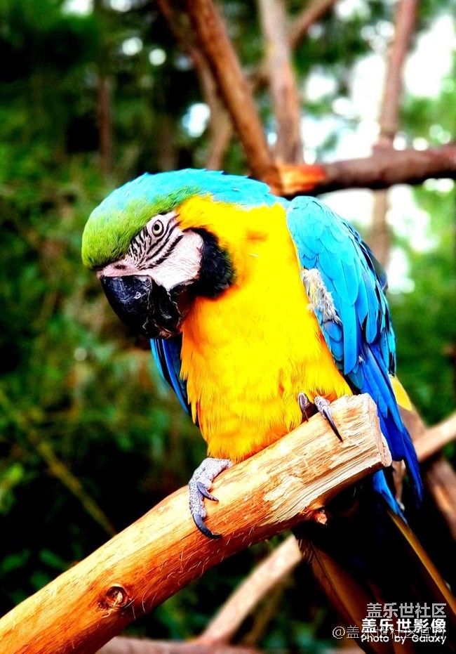 《每周星鮮事》 第84期:星鮮創(chuàng)造營(yíng)第十二期 絢麗開(kāi)營(yíng) 《每周星鮮事》 第84期:星鮮創(chuàng)造營(yíng)第十二期 絢麗開(kāi)營(yíng)