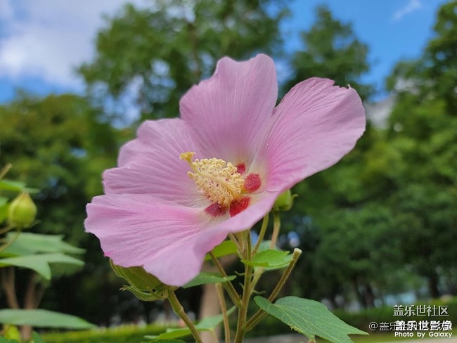 《每周星鮮事》 第84期:星鮮創(chuàng)造營(yíng)第十二期 絢麗開(kāi)營(yíng) 《每周星鮮事》 第84期:星鮮創(chuàng)造營(yíng)第十二期 絢麗開(kāi)營(yíng)