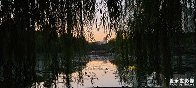 夕陽