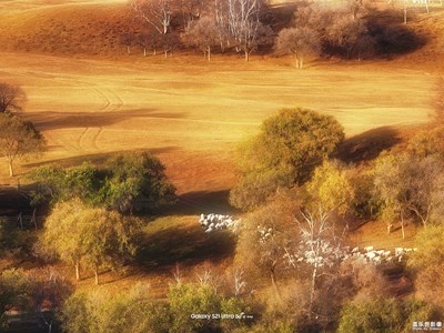 草原 · 金秋（三）