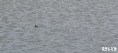 撫仙湖隨拍