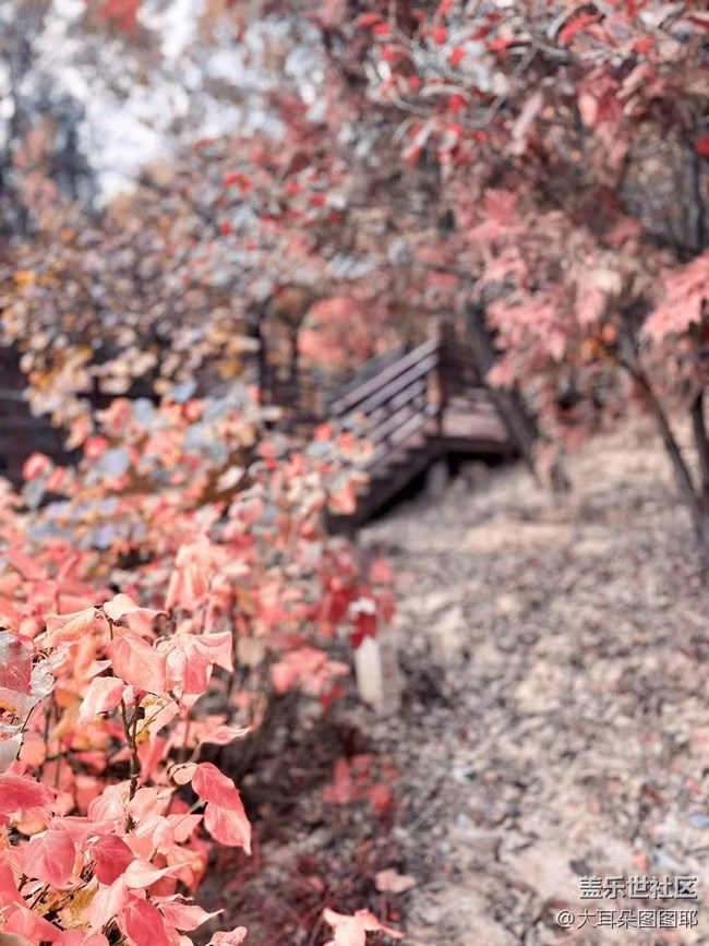 #holiday——八大處