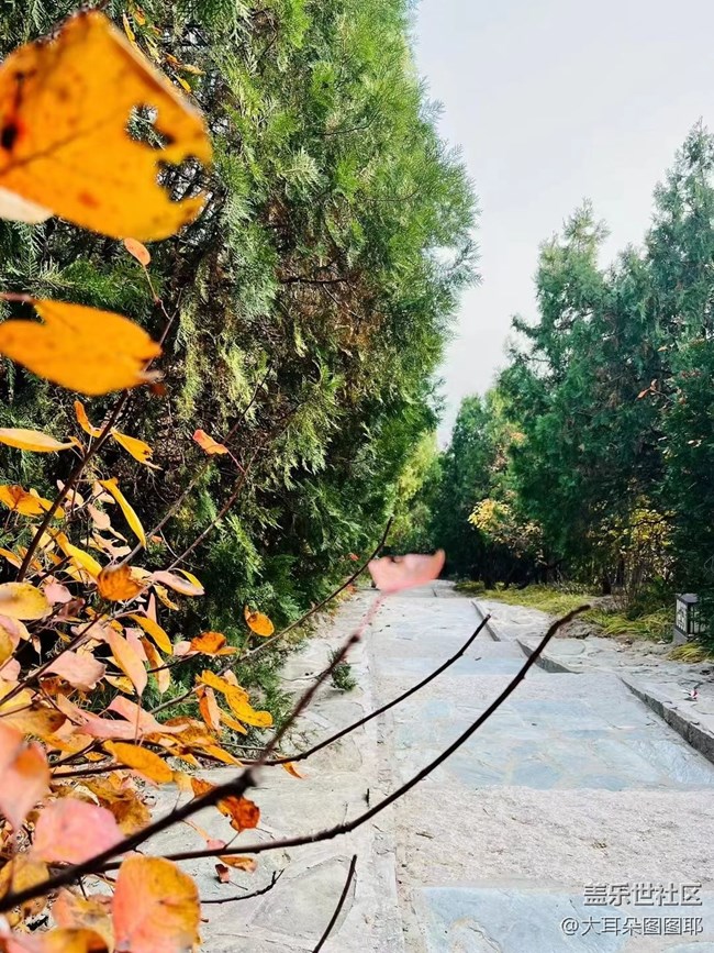 #holiday——八大處