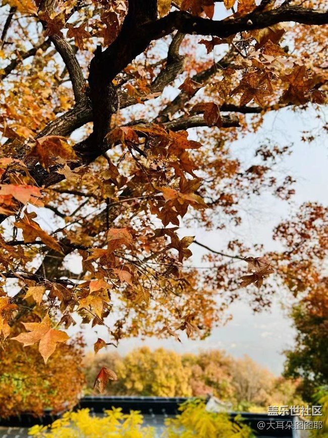 #holiday——八大處