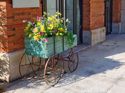 已開獎【蓋樂世影像周賽第214期】——身邊的美好