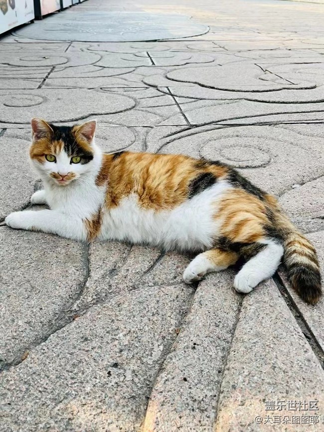 #holiday——八大處