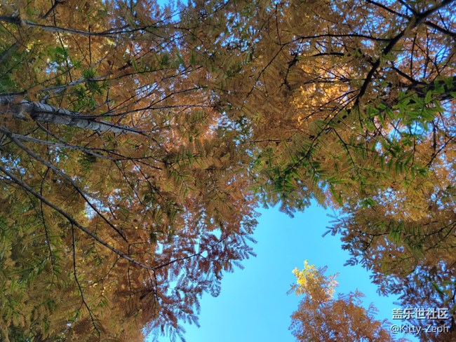 【遇見，美好！】+遇見夏秋之交的美好