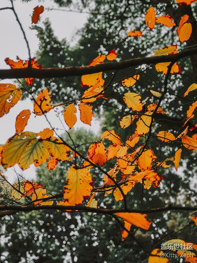 【遇見，美好！】+余暉唱晚