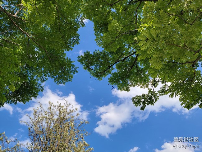 【遇見，美好！】+遇見夏秋之交的美好