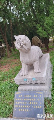 隨拍