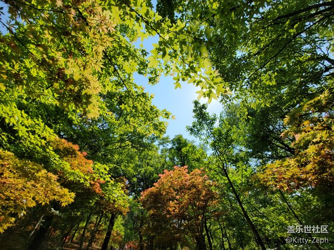 【遇見(jiàn)，美好！】+遇見(jiàn)夏秋之交的美好