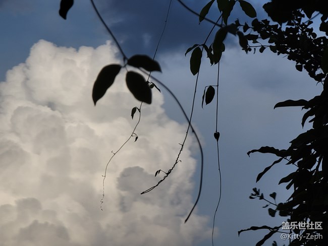 【遇見，美好！】+余暉唱晚