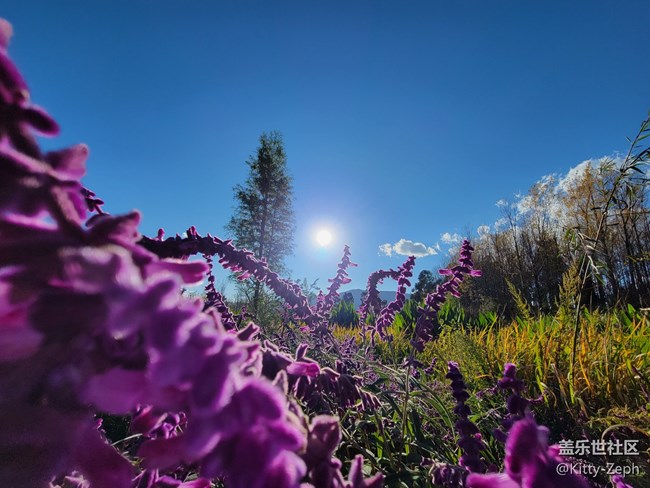 【遇見(jiàn)，美好！】+遇見(jiàn)夏秋之交的美好