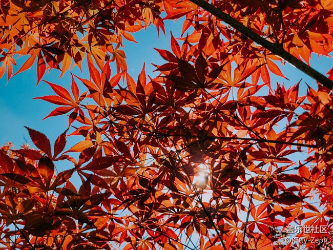 【遇見(jiàn)，美好！】+遇見(jiàn)夏秋之交的美好