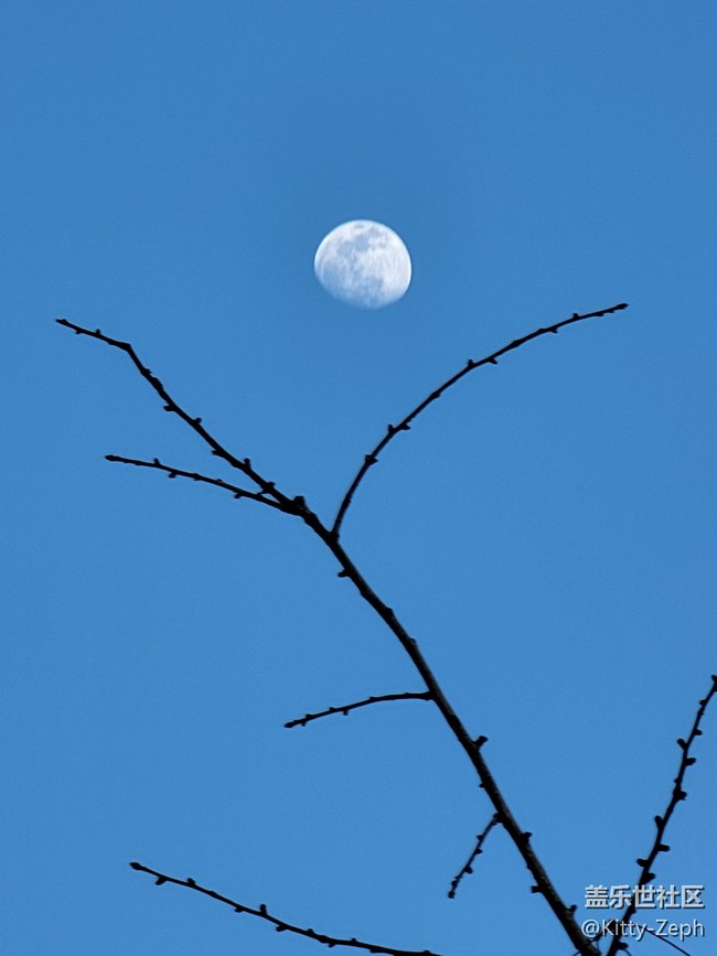 【遇見，美好！】+余暉唱晚