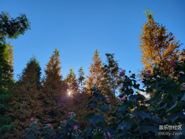 【遇見(jiàn)，美好！】+遇見(jiàn)夏秋之交的美好
