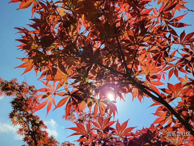 【遇見(jiàn)，美好！】+遇見(jiàn)夏秋之交的美好