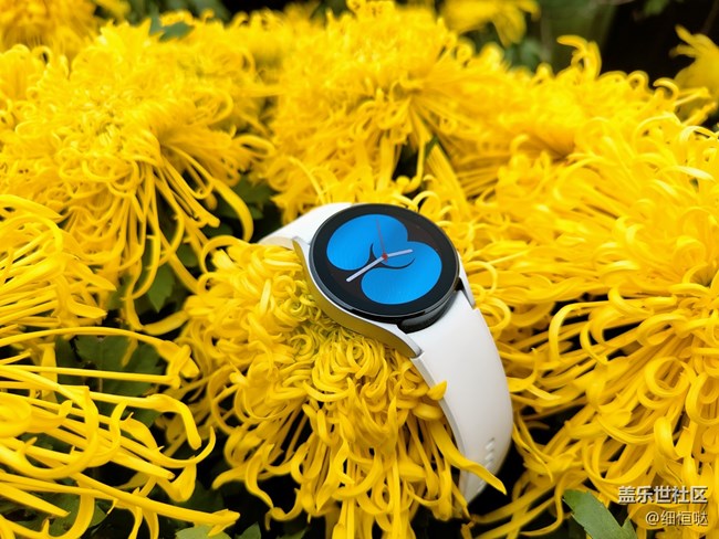 【Galaxy Watch4系列星粉體驗(yàn)團(tuán)】從芯開始