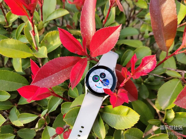 【Galaxy Watch4系列星粉體驗(yàn)團(tuán)】從芯開始