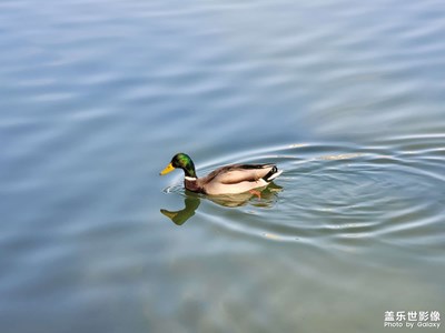 今日照片   南湖廣場
