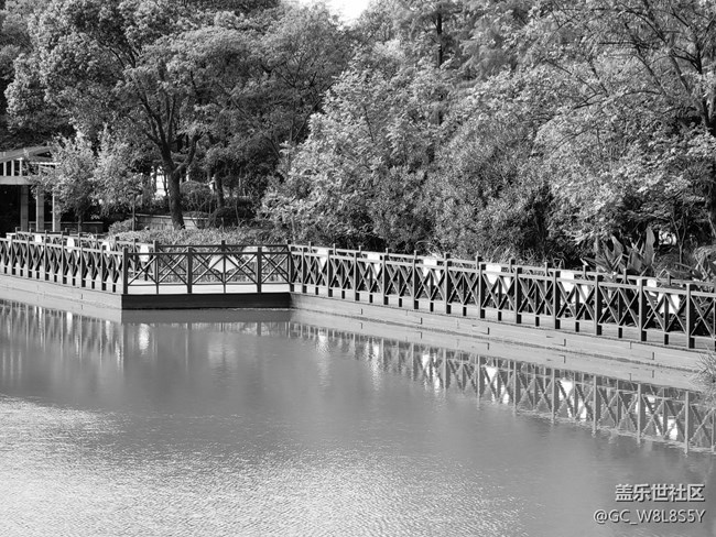 【簡(jiǎn)單的黑白灰】+小區(qū)公園