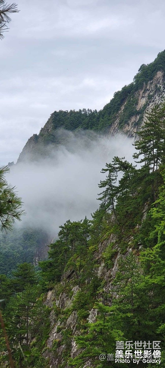 《每周星鮮事》 第85期