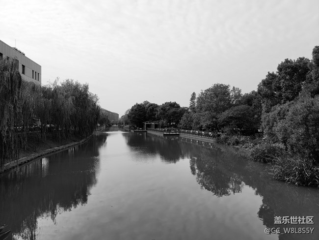 【簡(jiǎn)單的黑白灰】+小區(qū)公園