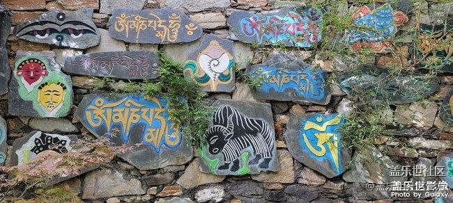 《每周星鮮事》 第85期