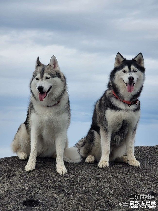 《每周星鮮事》 第85期:三星會員周 開門紅搶先購