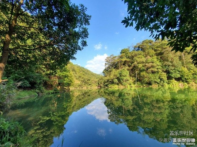 《每周星鮮事》 第85期