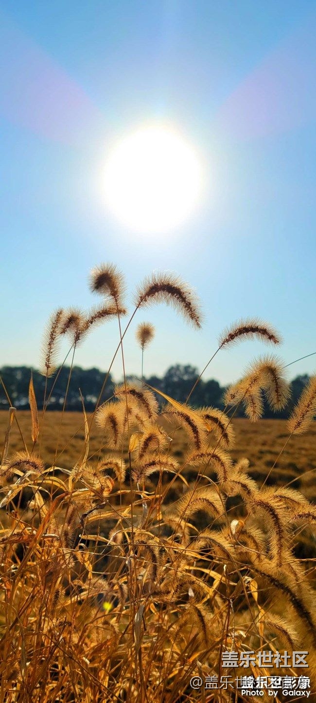 《每周星鮮事》 第85期:三星會員周 開門紅搶先購